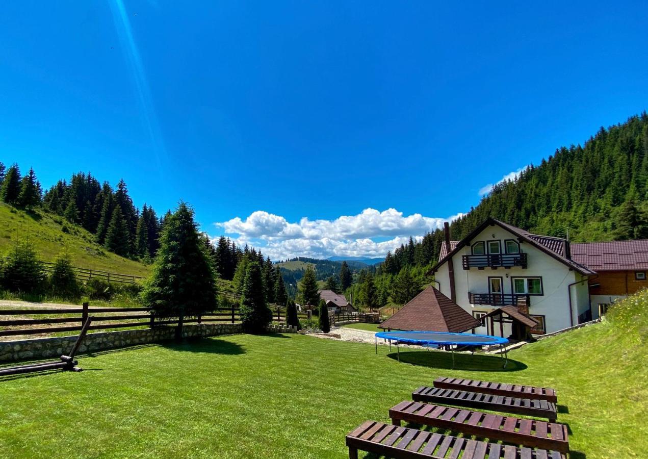 Pensiunea Poienita Ursului Fundata Esterno foto